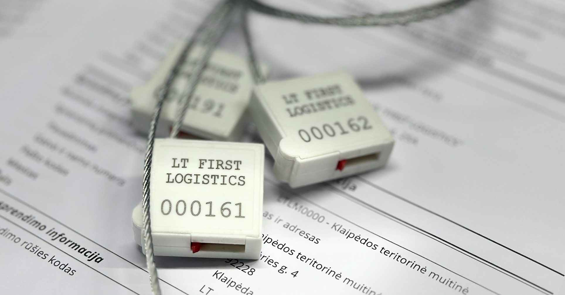 Muitinės procedūrų kontrolė | First Logistics